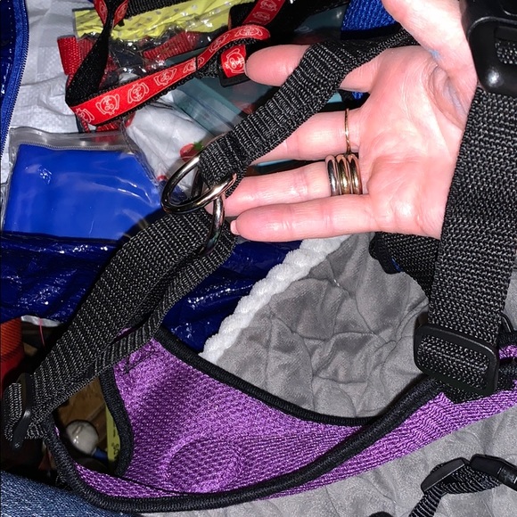 New Paw Harness 2 med blue/purple & small green - Picture 4 of 5